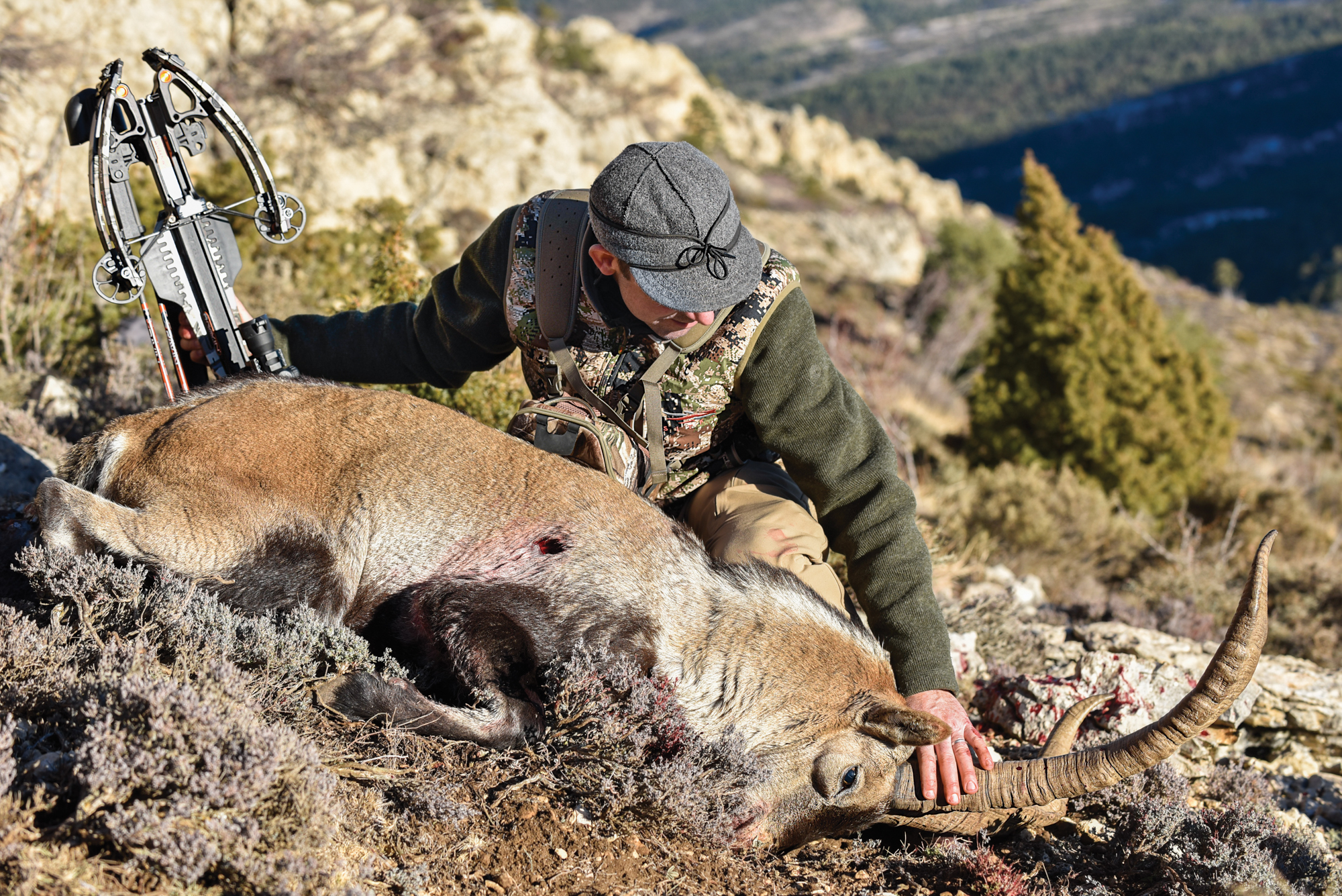 A bowhunter kneels with his hand on the ibex's head.