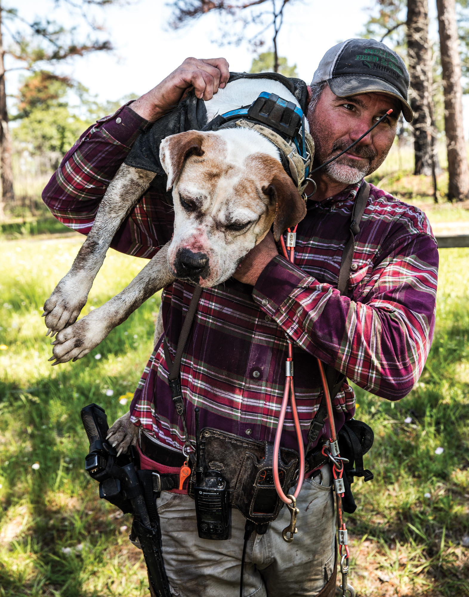 A hunter in a plaid shirt hauls a hog dog on his shoulder.