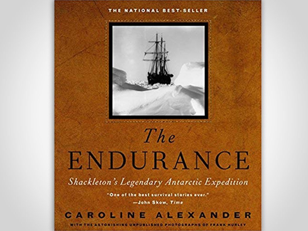 the endurance book cover