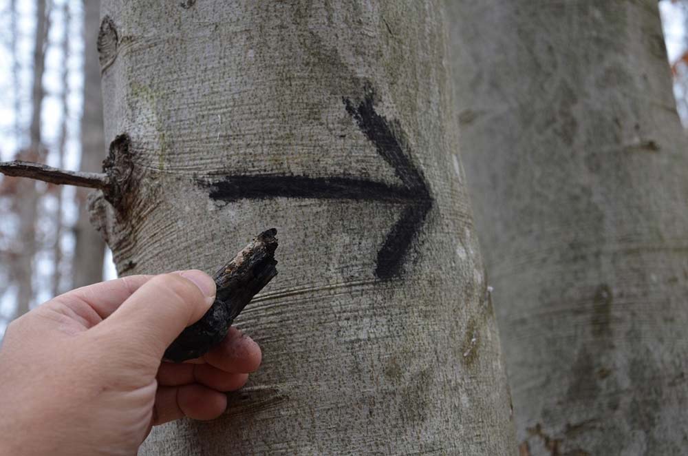 charcoal arrow on tree