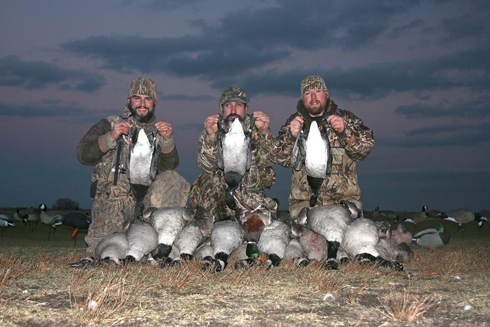 three waterfowl hunters holding up banded geese