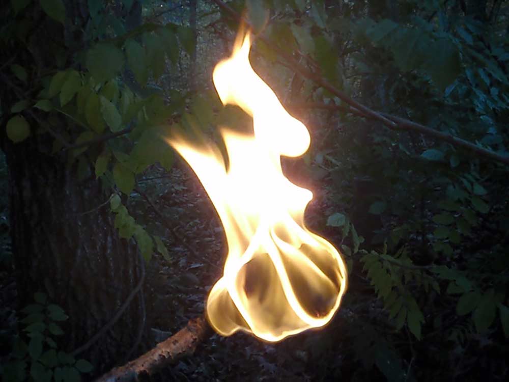 a torch on fire in the woods