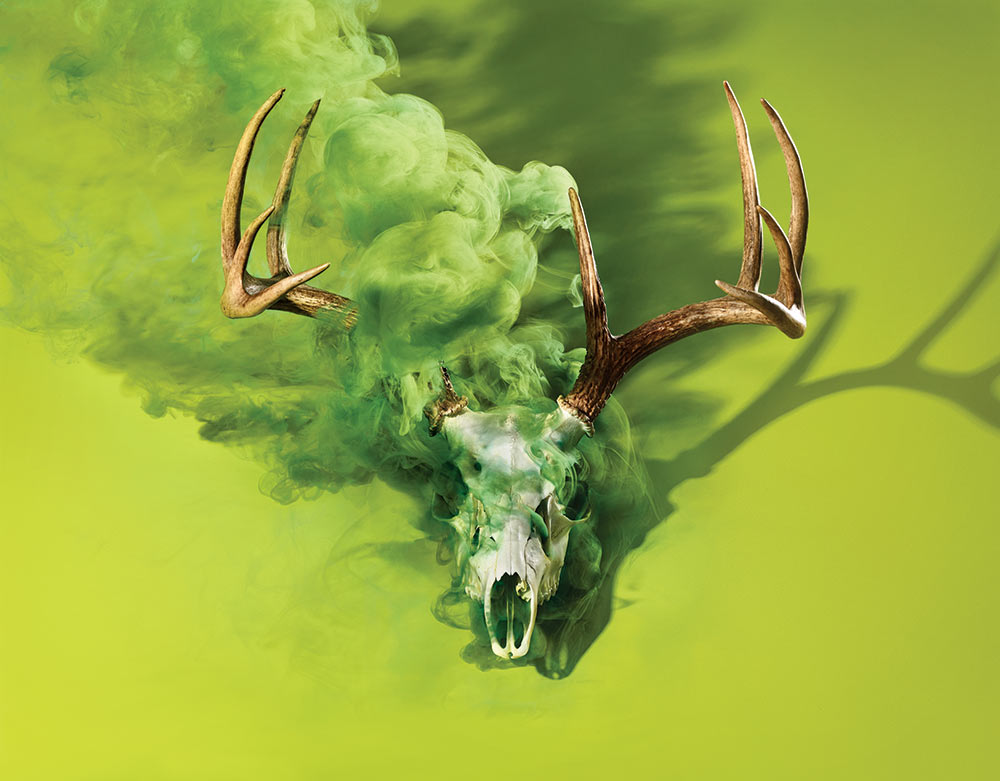 a deer skull emitting green smoke