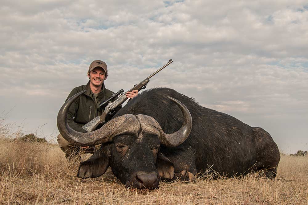 young hunter kneeling next to giant black ox