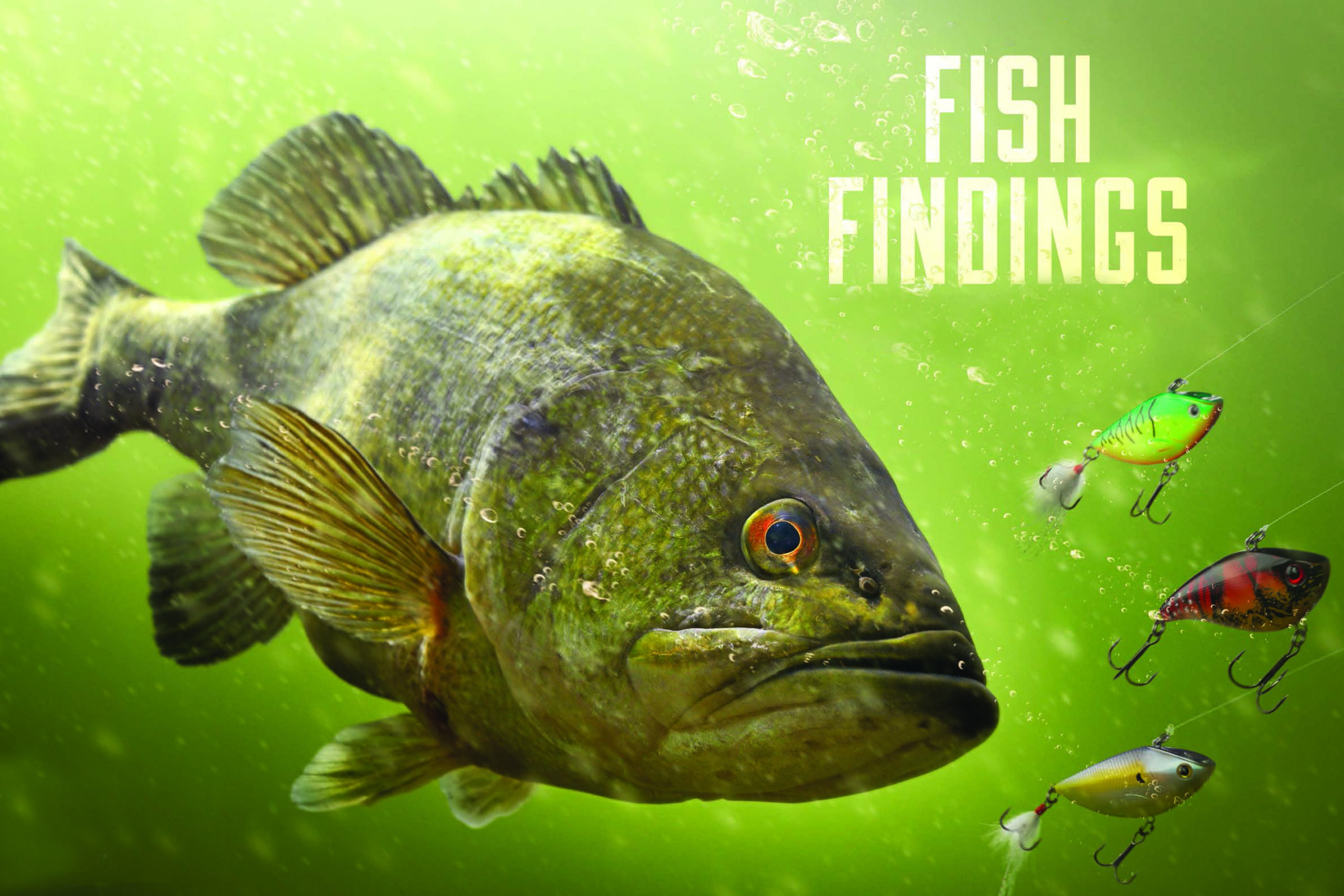Fishing Findings: New Science Might Help You Catch More—and Bigger—Fish