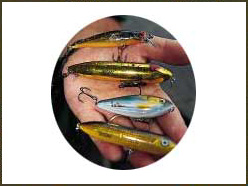 Top Five Trout Lures