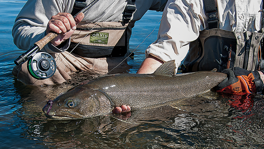 Fishing for Monster Lake Trout and Pike in the Yukon
