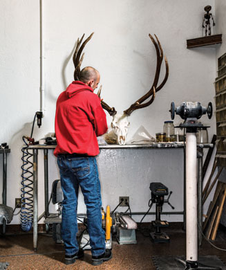 Skulls Inc.: Behind the Scenes of a World-Class Taxidermy Shop