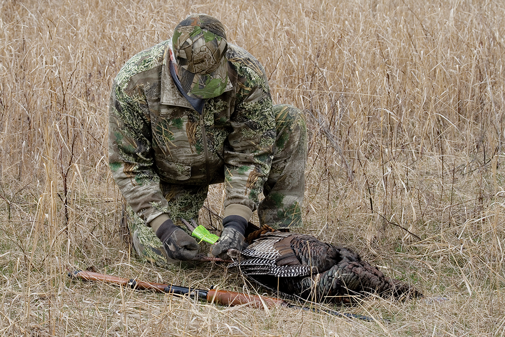 <em>Time at the patterning board will help you determine your ­maximum effective range for turkeys.</em>