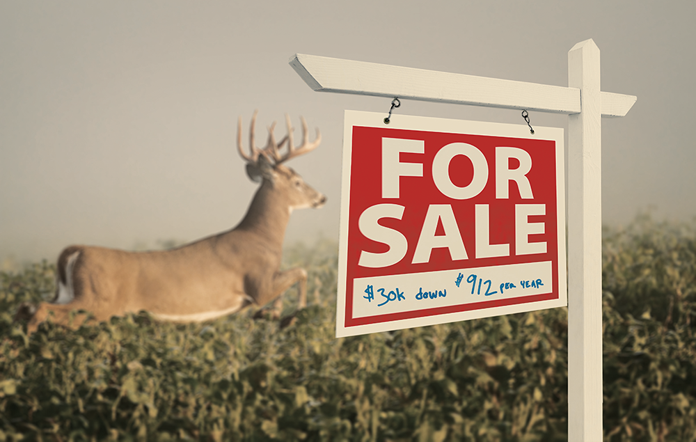 hunting land for sale
