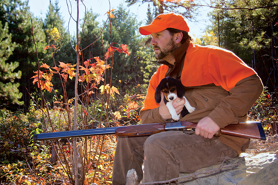 <em>The best way to train a rabbit hound is by exposing him to the field at an early age. Photo by Lon E. Lauber (Hunter)</em>