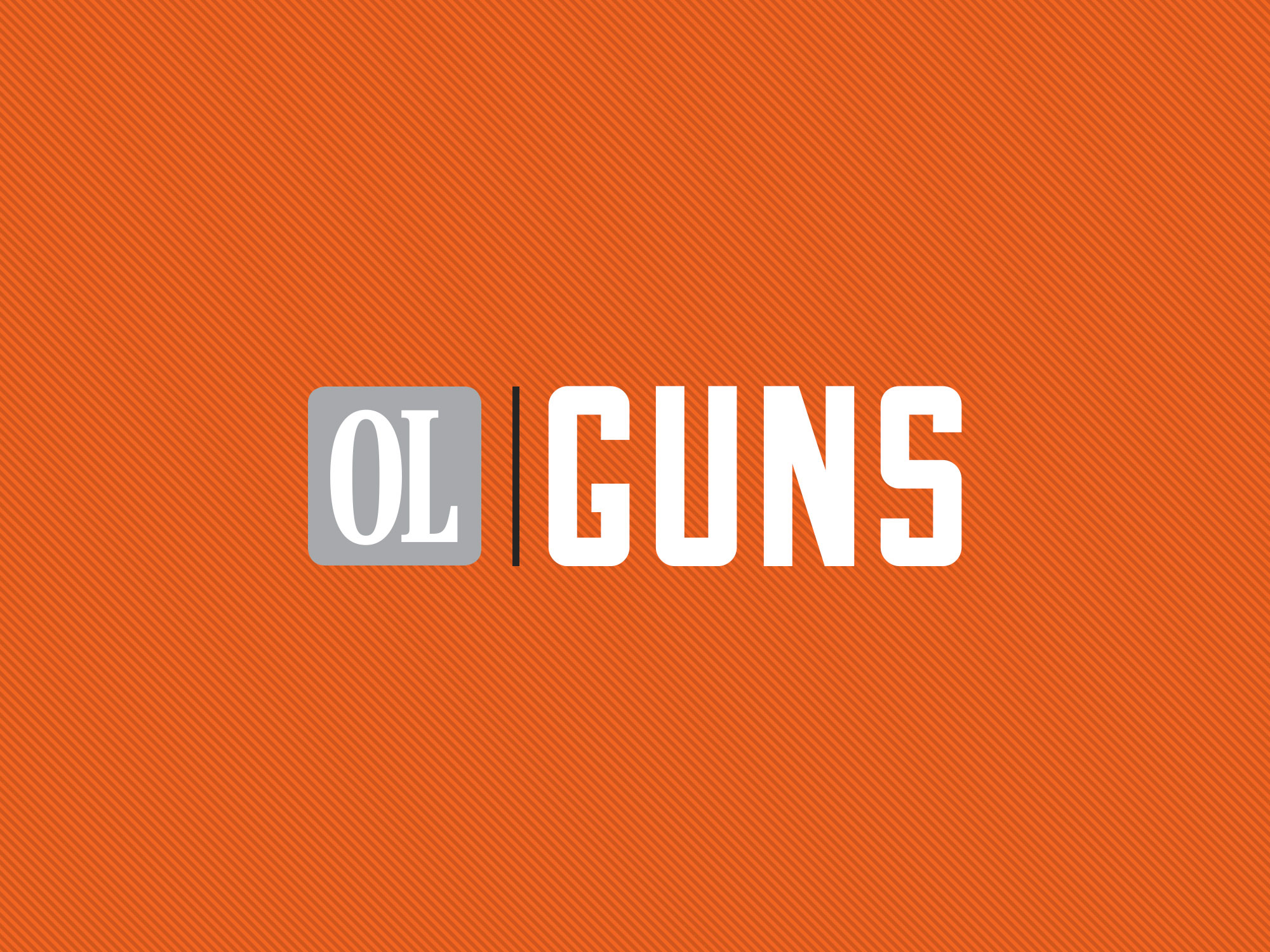 Anti-tax, pro-gun? Then you are a ‘terrorist’