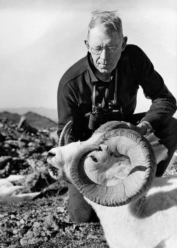 jack o'connor, sheep hunting, ram hunting, hunting quotes, OL archives, outdoor life archives, jack o'connor outdoor life