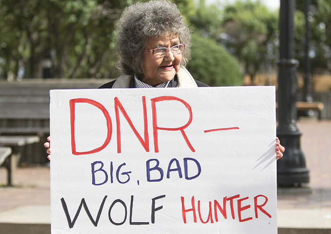 <em>A woman protests Minnesota's 2012 wolf hunt / Photo by Clint Austin.</em>