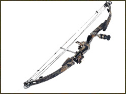 The Perfect Setup–A Guide to Building the Perfect Bow