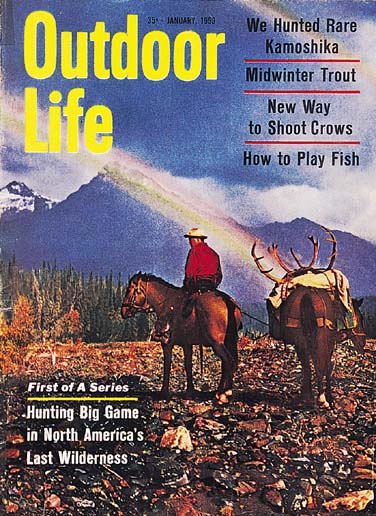 Hunting, Horses, Wild West, Elk, Adventure