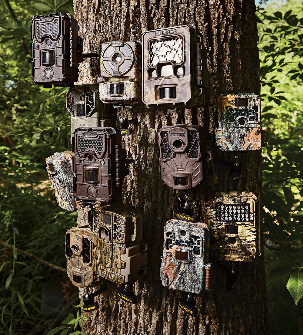 Trail Camera Test: 12 of the Best Models on the Market | Outdoor Life