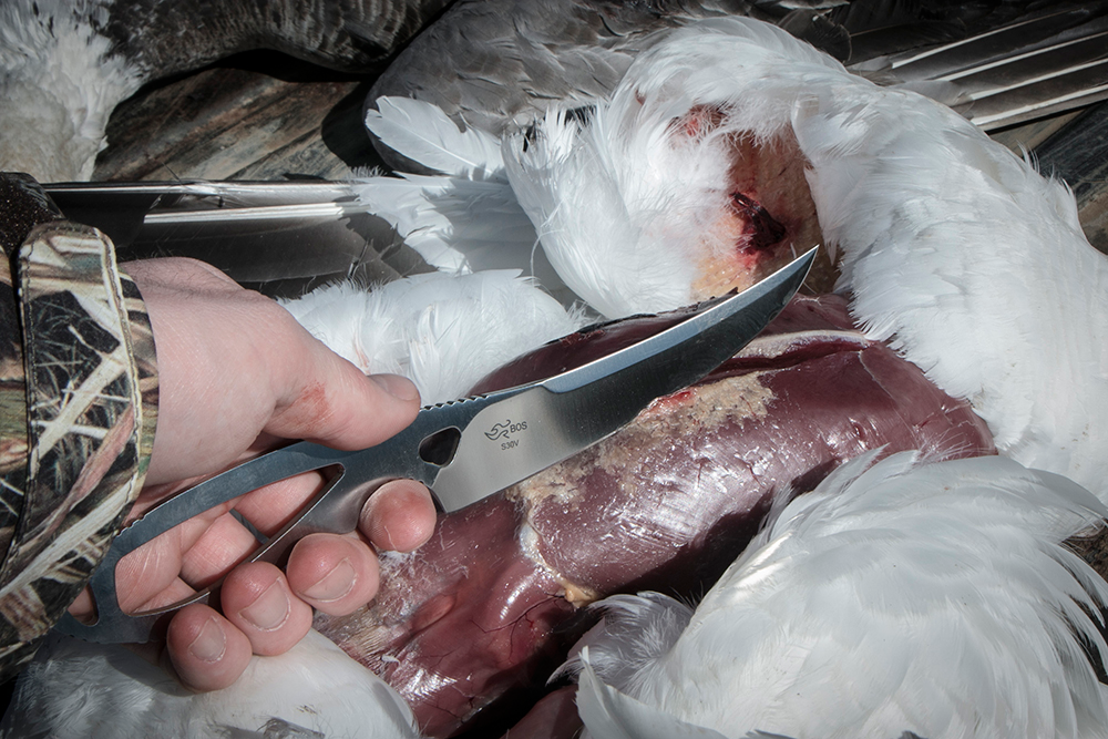 _The most important part of readying snow geese for the table is to clean them quickly. Don’t let your dead birds bake in their feathers all day. _