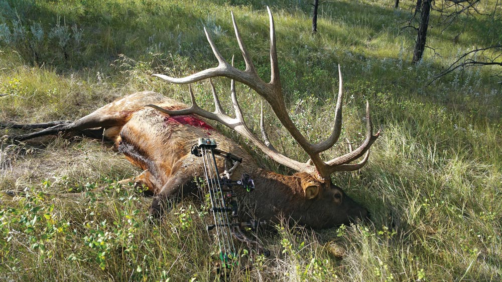 world record elk hunting steve felix