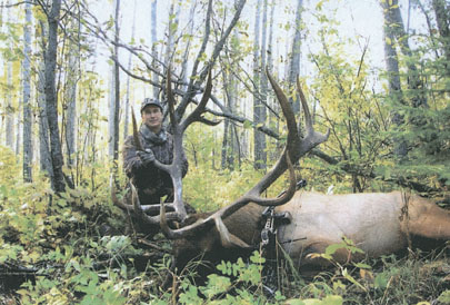 This number three SCI bow-harvest typical Rocky Mountain elk was arrowed near Athabasca, Alberta, Canada by bowman Will Huppertz. He was on a self-guided hunt when he rolled the 6x6 bull, which sports main beams measuring 52 and 51 6/8s inches. The bull scores 419 2/8s.