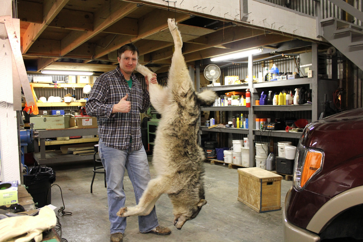 Wolf Hunting photo