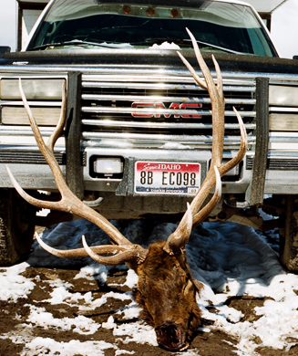 Photos: Opening Day of Wyoming's Shed Hunting Season