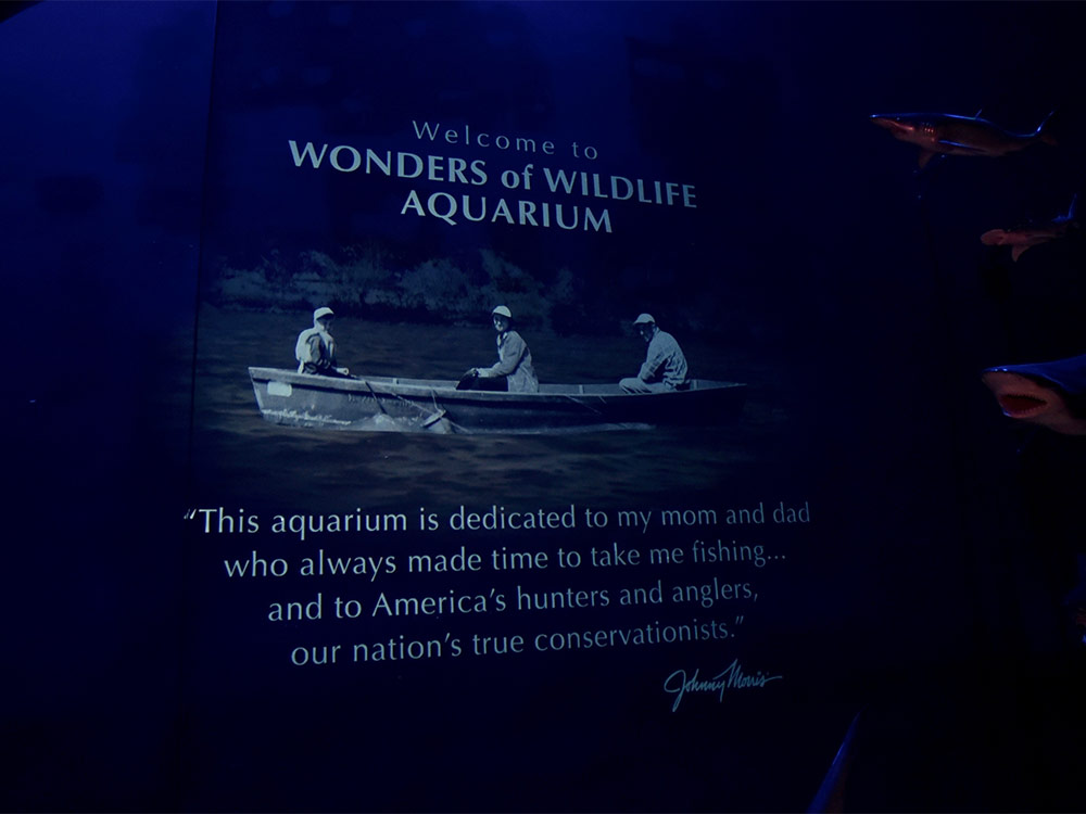 Wonder of Wildlife Aquarium