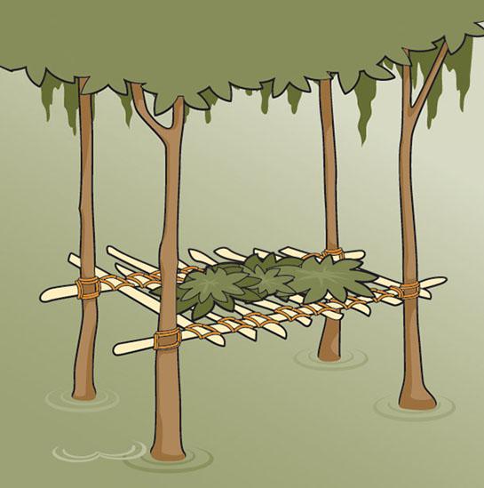 Survival Skills: How to Build a Swamp Shelter