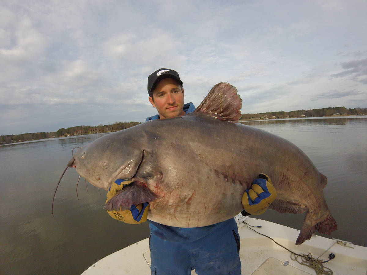 North Carolina Angler Catches Back-to-Back Giant State-Record Catfish