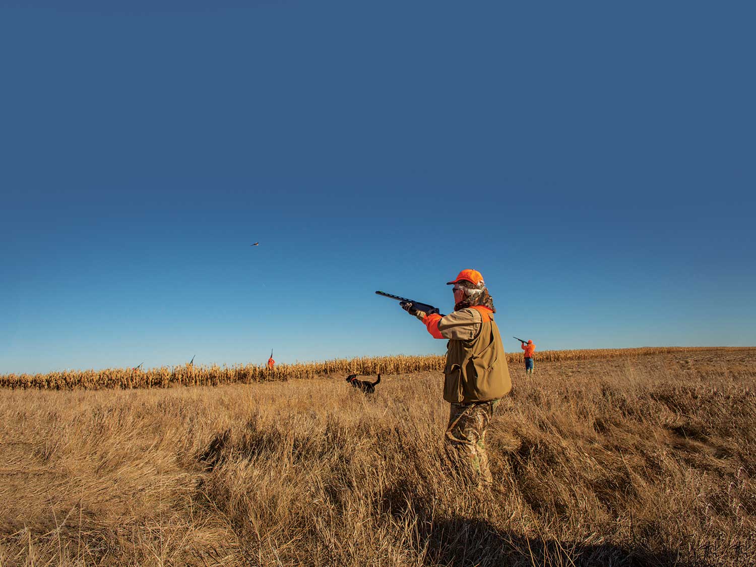 Wingshooters Countdown: Get Ready For Bird Hunting Season