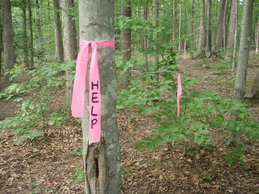 Hot pink survey tape