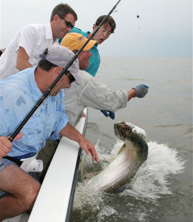 St. Simons Island, Georgia Georgia has exceptional tarpon fishing near the famed "Golden Isles," around the coastal town of Brunswick. Fishing is done within a couple miles of shore, and tarpon show in early June and offer consistent fishing through September, often well into October. In a good day anglers will "jump" several fish, sometimes landing three or four. Anglers get a lot of 100-pounders, and some weighing close to 200 pounds - giants in the tarpon world.