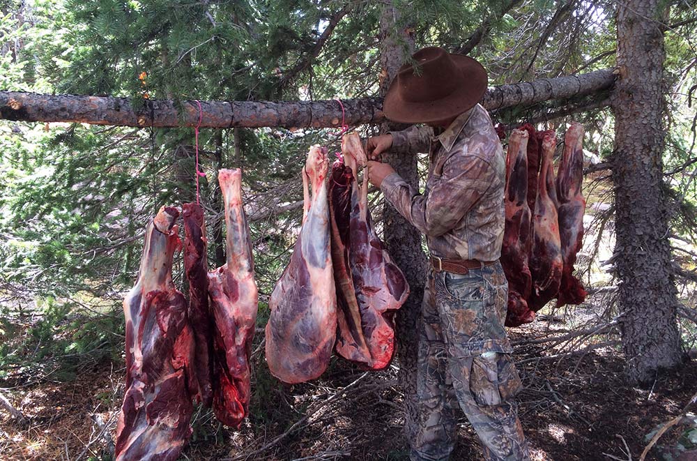 elk hunting preparation