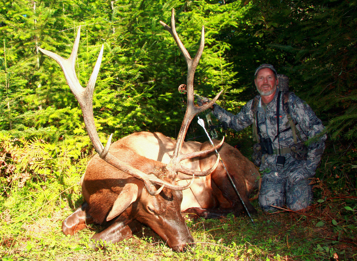 archery bull elk