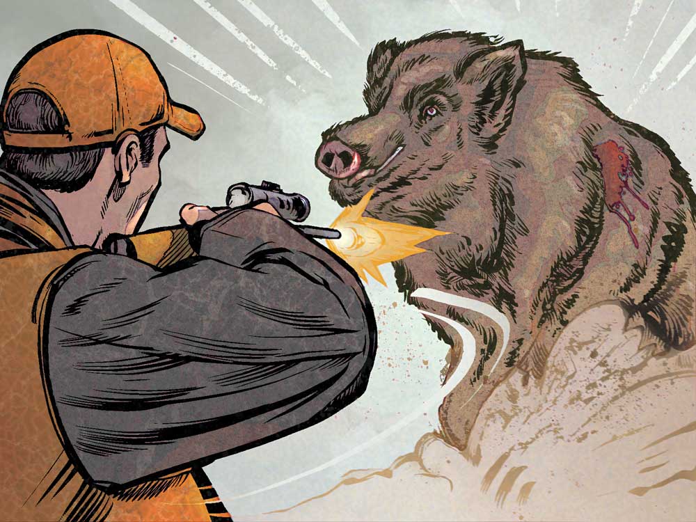 illustration of hog hunter
