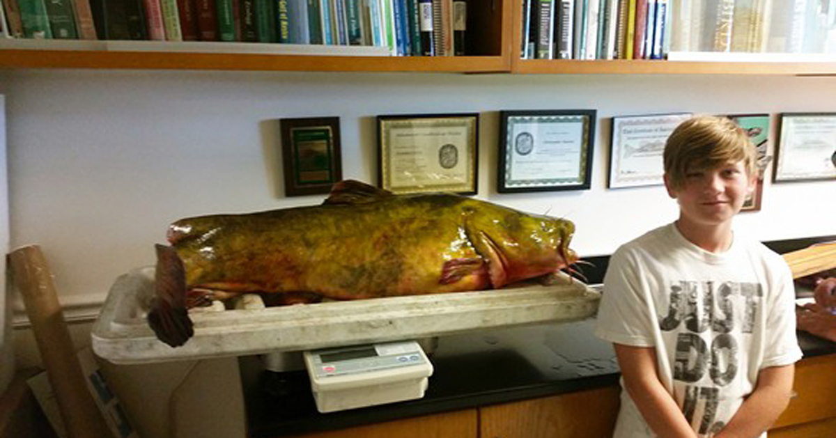 Reluctant 13-Year-Old Angler Sets New Florida Flathead Catfish Record