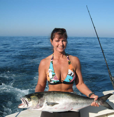 Ask any angler on the Atlantic Coast about mean and nasty fish and he's likely to tell you about bluefish.