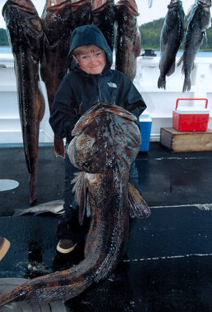On August 3, smallfry angler Cody Thomas Mason Konop of Anchorage, Alaska, guided by Tom Konop, landed a huge lingcod, to qualify for the male smallfry record. Cody's fish weighed in at 52 pounds 12 ounces and took the youngster 20 minutes to land. The voracious predator hit his Storm wild eye shad, while Konop was fishing the Gulf of Alaska. The current IGFA record is 51 pounds 9 ounces.