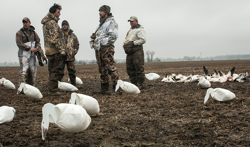 <em>After lying in the mud all morning, we reveled in our success after killing 72 snow geese over a spread of 1,500 decoys.</em>