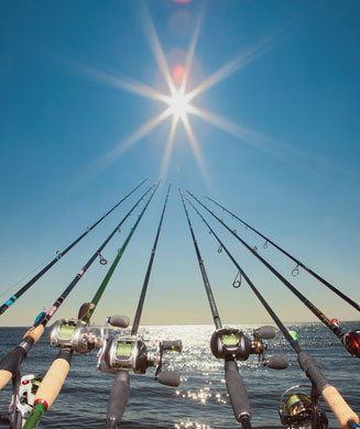 Best New Rods and Reels: Fishing Tackle Test 2014