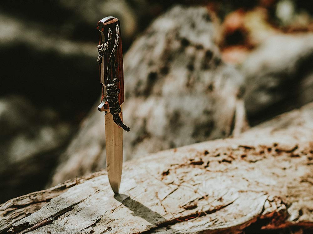 knife blade stuck in a wooden log