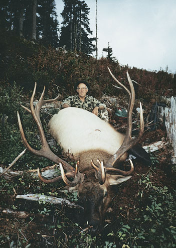 This 400-inch 9x9 Roosevelt elk is the No. 2 SCI record for this, the largest member of the North American wapiti family. It was shot by rifleman Gerald Warnock during an October hunt along the Campbell River in British Columbia, Canada. He was with guide Bruce Watson.