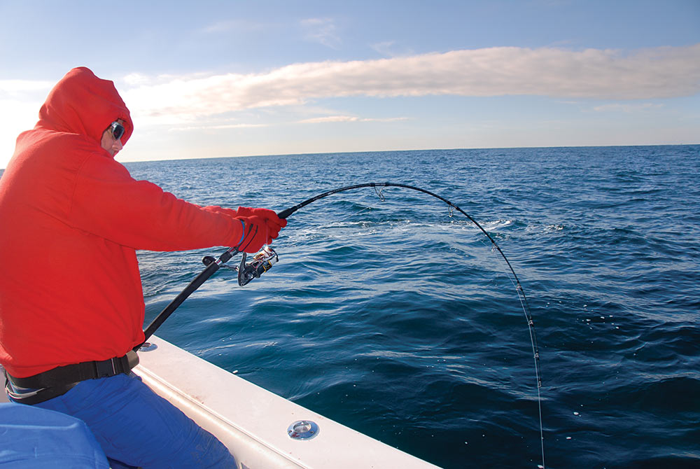 Bluefin fishing