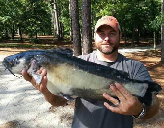 State-Record White Catfish Caught in South Carolina