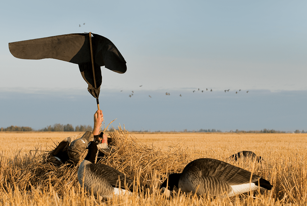 The Do’s and Don’t of Flagging Geese Into Your Spread