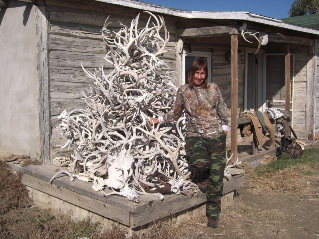Ligia was fascinated by this impressive collection of shed and harvested antlers. The pile contained headgear from elk, whitetail and mule deer.