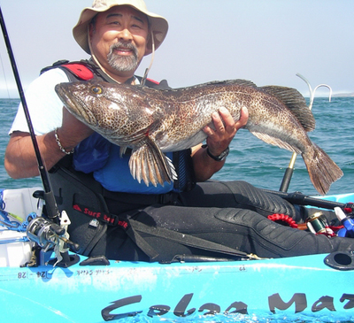 Anglers targeting Pacific ling cod follow the old adage: big baits equal big fish.