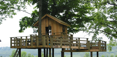 A-Frame Treehouse