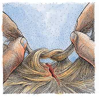 scalp wounds