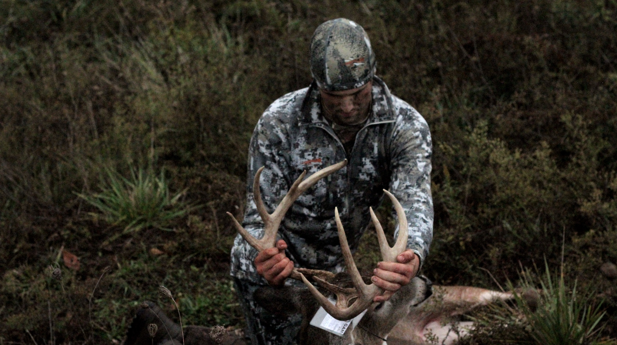 The Secret to Deer Hunting Success: What I Learned from Interviewing 30 Whitetail Experts